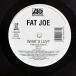  рис US запись FAT JOE/WHAT'S LUV? / DEFINITION OF A DON/ATLANTIC 085233 12
