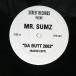 US запись MR.SUMZ/NOBODY CARES / DA BUTT 2003/STREET RECORDS STR001 12