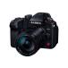 �f�W�^���J���� �p�i�\�j�b�N GH�V���[�Y LUMIX �n�C�G���h�E�n�C�u���b�h �}�C�N���t�H�[�T�[�Y��� �f�W�^�����J����/�����Y�L�b�g DC-GH6L