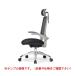 ڸĿԲġۥ AICO MS-1695HBK(F12)BU ľ Բ ե MS1600꡼ ¥å ߵӥ إåɥ쥹ȡɪդ ء
