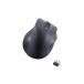 ELECOM �G���R�� M-XGXL30DBSKBK ���C�����X�}�E�X �É� ���� 2�D4GHz 5�{�^�� �E���p �R�� XL�T�C�Y EX�|G �u��