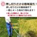 ���|�C���g3�{�I���@����Ƃ肭��@�l�͈��@ �y���������z �֘A�摜3
