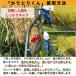 ���|�C���g3�{�I���@����Ƃ肭��@�l�͈��@ �y���������z �֘A�摜5