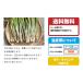 ��������傤���ꌧ�Y 100g �ʂ蔄�� 500g�ȏ�w����100g�I�}�P ���悢��{�̓�������傤 ������ ������ �� ���Y �V�Ղ�≖�ЂɁb��������傤 �b �֘A�摜5