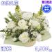 �y�b�g�̂������E������݂ɑ���ԁ@�t�����[�A�����W ����  3,500�~ ������ �������� �����z�B �N�[���֑Ή��I ����