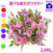  flower gift birthday flower arrangement bouquet 5,000 jpy free shipping next day delivery .... correspondence present message card attaching [200 jpy OFF coupon ..]