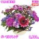  цветок подарок день рождения 11 месяц. рождение цветок лиловый организовать 3,500 иен бесплатная доставка на следующий день доставка цветок слова имеется b шероховатость a фотография имеется сообщение выбор возможно 