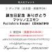 ������㍞�� �H��@�Ή� ���� �V���v���J���[ 22.5cm�i��/��/��/��/�O���[�j �M�t�g ������ ���� �����ꖳ�� ���Y �ዷ�h �֘A�摜4