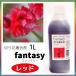 パレス化学 切花着色剤ファンタジー 1Ｌ レッド パレス化 Z