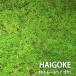  high goke. moss 10 tray set tray size 300mm×450mmkokelium bonsai .. change cosmetics terrarium kokedama garden maintenance stone S direct delivery 