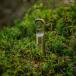SOIL minimal. �\�C���~�j�}���@HOPE Lighter�@ �֘A�摜2