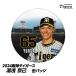  Hanshin Tigers #65 горячая вода . столица . жестяная банка значок ( лицо дизайн )( почтовая доставка соответствует возможно ) ( Professional Baseball лампочка . Hanshin вентилятор bachi.. игрок жестяная банка bachi)