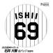  Hanshin Tigers #69 Ishii большой . жестяная банка значок (. номер дизайн )( почтовая доставка соответствует возможно ) ( Professional Baseball лампочка . Hanshin вентилятор bachi.. игрок жестяная банка bachi)