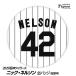  Hanshin Tigers #42nik* Nelson жестяная банка значок (. номер дизайн )( почтовая доставка соответствует возможно ) ( Professional Baseball лампочка . Hanshin вентилятор bachi.. игрок жестяная банка bachi)
