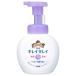 ライオン　キレイキレイ　薬用泡ハンドソープ　フローラルソープの香り　本体　250ml