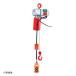 �ۈ� �d�C�`�F�[���u���b�N 0.2ton BS-K20A0 �׏d200kg �g��10m V���\�ʍd���`�F�[��