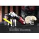SHINANO ǻ SI-2009EX ®󥰥ߥ˥ݥå㡼 SHINANO