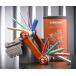 sig сеть складной набор инструментов orange ( цвет кейс ) (22082) SIGNET