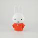  Miffy ......DX S красный книга с картинками ... bruna ... Chan товары 