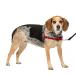 PetSafe легкий walk Harness (SM, красный & черный )