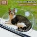  кошка для гамак прозрачный кошка для bed домашнее животное bed окно гамак подвешивание bed через год кошка для окно сиденье uidou сиденье кошка для присоска тип гамак -тактный отсутствует аннулирование город Хюга bed 