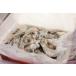  ангел. море .(1kg*30~40 хвост )