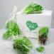 [.. нет ... овощи ] выгодный салат комплект M leaf lettuce * лёд план to* месклун Mix * рекомендация упаковка ввод наша компания стерильное помещений культивирование прямая поставка 