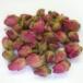 ka белка . замок rose красный baz/ mica кальмар 100g