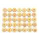 COOKIE MAIL. индустрия праздник .. письмо печенье mail (gd01-bt-cm-k-ba)