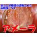  Shizuoka производство помидор Ame -la1kg 8~12 шт несессер входить 