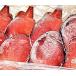 ... голова ( sashimi для )5kg(3~6 шт ) для бизнеса Hokkaido производство гигантский осьминог [ отгрузка изначальный : Hokkaido 4 сезон ателье ]