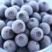 ru прохладный рефрижератор голубика 1kg Yamagata производство .. голубика рефрижератор фрукты сладости конструкция различный рецепт . большой активность 