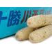  Tokachi река запад батат 10kg (A разряд 3L~4L размер. китайский ямс ) HACCP засвидетельствование подлинный . белый ... мелкий мясо качество. ....... клубень . если сделать липкость есть ( север 