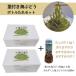  стебель имеется море виноград 500g×2 коробка 280ml соус комплект специальный бутылка tare есть!