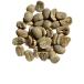 [Dr-i-gama premium .. сырой бобы ] Indonesia золотой Mandheling сырой бобы 1kg