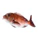 мандарин морской лещ подлинный морской лещ 1.8-2.2kg внизу отделка завершено Ehime префектура производство sashimi . рыба . рыба ....... мир море. . оптовый склад 
