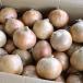  Hokkaido шар лук порей Hokkaido производство лук репчатый 10kg L большой размер вместе . лук репчатый / шар лук порей / лук /tama лук-батун овощи . хорошо . производство или север видеть F1