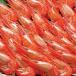 shi... Hokkaido sima креветка север море ....500g M размер Hokkaido производство . креветка 
