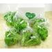 [.. нет ... овощи ]6 товар [ случайный комплект ] супер свежий leaf lettuce комплект! нежный зеленый leaf * хруст оборка leaf и т.п. . эта день 1 номер .6 пакет ...
