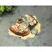  утка. фуа-гра 1 шт (40-50g) чёрный трюфель 3 шт Венгрия производство рефрижератор утка .. удача еда магазин 
