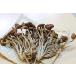 yanagi matsutake . сосна . сухой чай .= 100g.. .