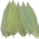 Zongye 100 листов большой zongae. сырой. бамбук. лист Zongzi материалы 