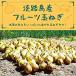. futoshi Awaji Island фрукты шар лук порей 10kg
