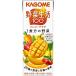 [ комплект товар ][2CS] овощи жизнь 100 манго салат (200ml×24шт.@)×2 коробка 