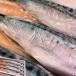  сушеный продукт натуральный подлинный скумбиря. культура высушенный 8 шт. комплект ( примерно 30cm/1 листов ) север . вода производство шнурок. si- капот морепродукты гурман 