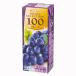 e рубин фрукты selection серый p100 200ml×24шт.