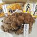 ki. . комплект Hokkaido love другой .. . комплект ...... .. намеко Hokkaido .... Special производство .. . комплект Mai ./enoki./nameko/kino