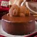 �ُ������ �U�b�n�g���e 4�� ���� ���� �F �`���R���[�g �P�[�L �`���R�P�[�L �a���� �v���[���g �M�t�g ���j�� �L�O�� ������ �X�C�[�c