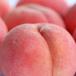 [i-orosi-] Fukushima префектура производство date. персик 2kg прохладный рейс .. есть /...8 месяц сверху . отправка 