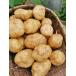  картофель 2kg S/M/L иметь машина JAS засвидетельствование nisiyutaka... остров * Shimane производство 